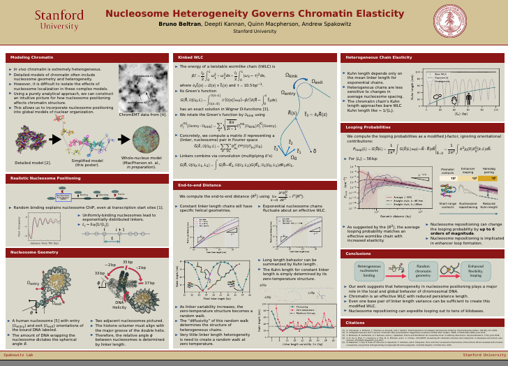 Image representing Nucleosome spacing heterogeneity drives chromatin elasticity